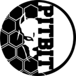 Pitbit